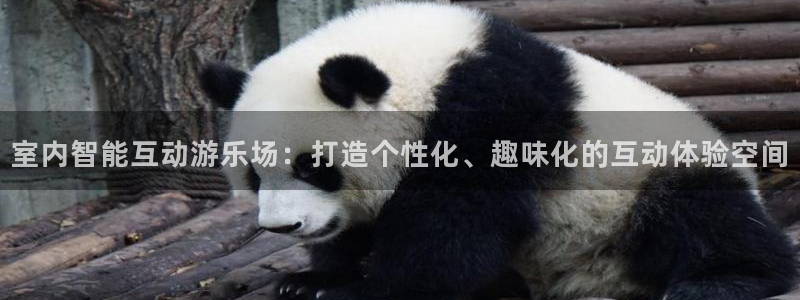 BWIN体育官方正版app开户:室内智能互动游乐场:打造个性