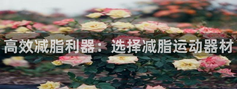 BWIN体育官网下载:高效减脂利器:选择减脂运动器材