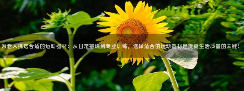 BWIN体育官方正版app开户:为老人挑选合适的运动器材:从